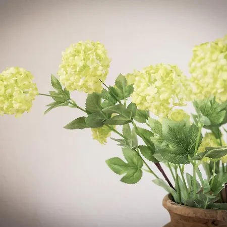 Hotel Eifellust Schalkenmehren