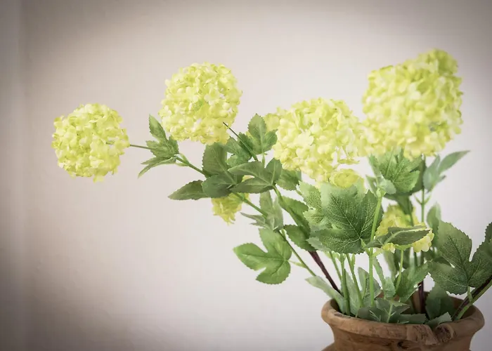 Hotel Eifellust Schalkenmehren